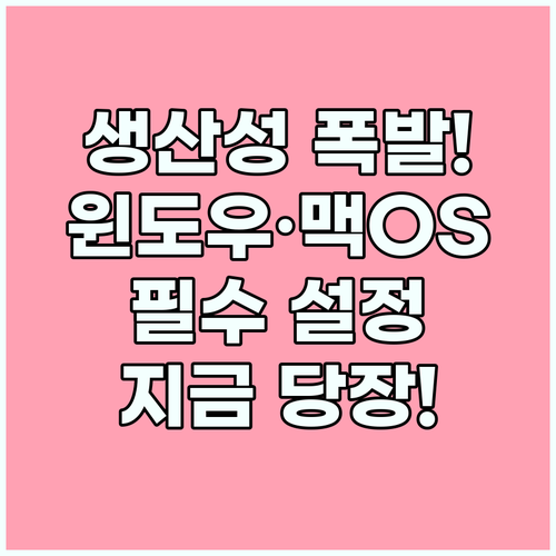 생산성 극대화를 위한 윈도우 맥OS 접근성 최적화 전략